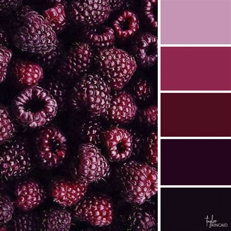 Image result for Raspberry Color Palette
