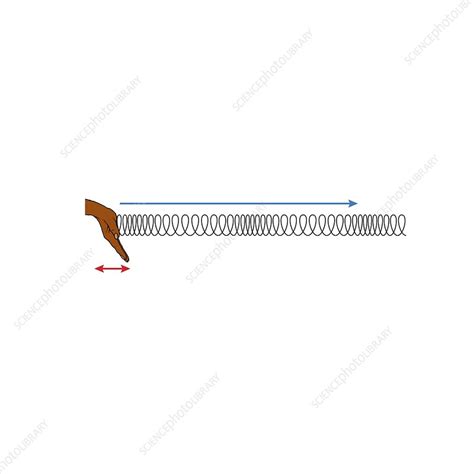 Lenth Wave in Spring に対する画像結果