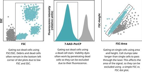 Image result for Flow Cytometry Gating