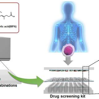 Drug Screening Process に対する画像結果