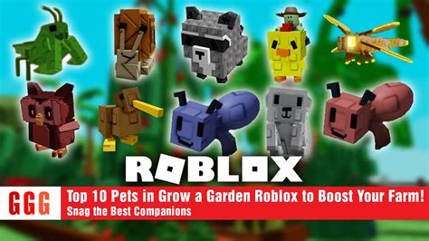 Afbeeldingsresultaten voor Pet Roblox Desing