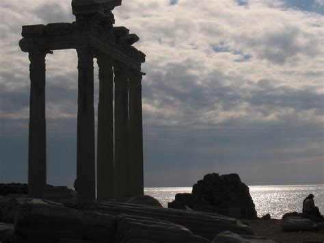 Image result for Side View of a Donkey in the Wild