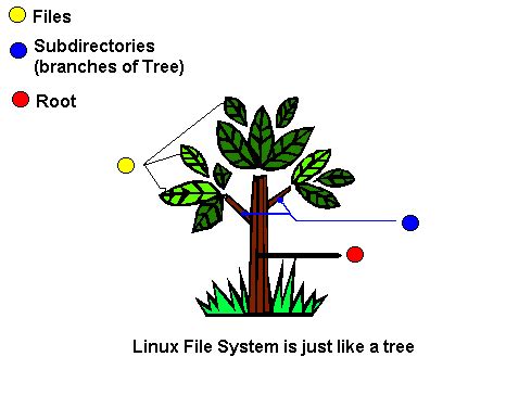 Image result for Linux Tree Structure