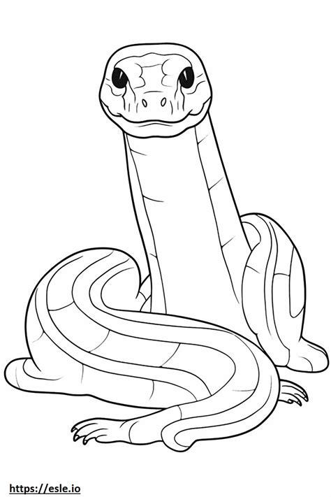 Ball Python Color Pages に対する画像結果