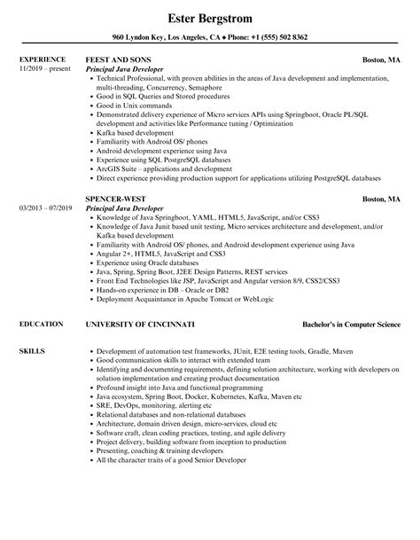 Afbeeldingsresultaten voor Principal Java Developer CV Example