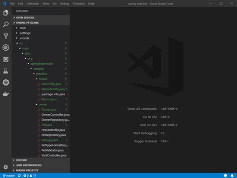 Image result for Visual Studio Code Setup for Java