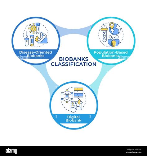 Toradh íomhá ar Classification Schema Graphic