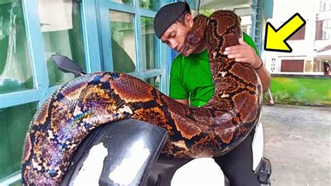 Toradh íomhá ar Python Sceary