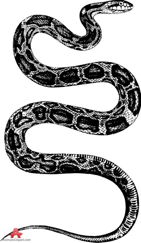Snake Drawing Black and White に対する画像結果