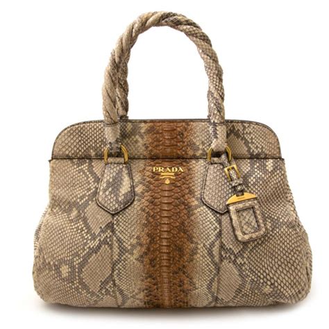 Image result for Prada Python Bag