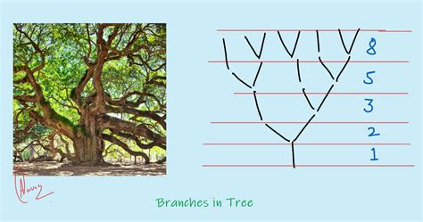 Image result for Recursion Fibonacci Trre
