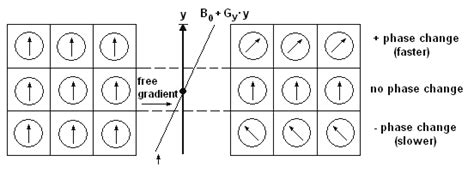 Image result for Phase Encoding Gradient MRI