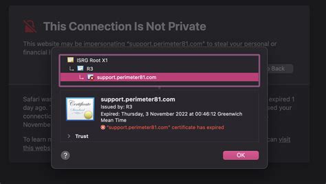 Image result for Perimeter81 SSL Error