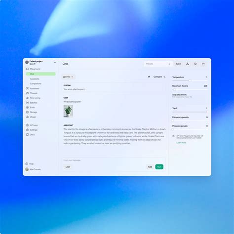 Openai API Platform に対する画像結果