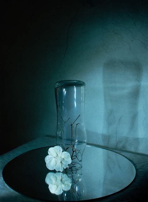 Image result for Still Life Reflection Glass