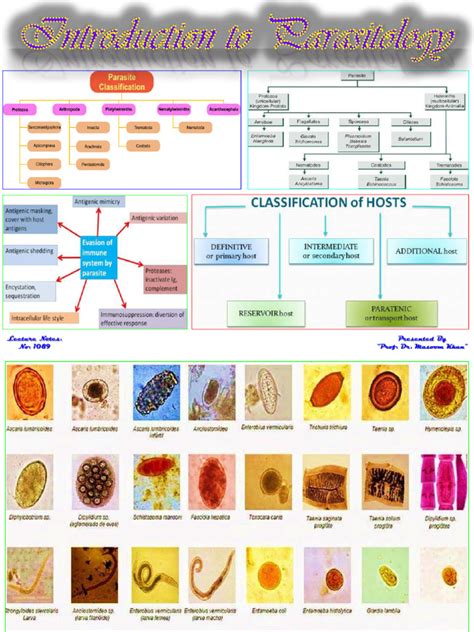 Image result for Parasitology Examples