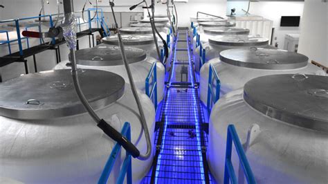 Toradh íomhá ar Cryonics People