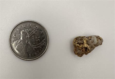 Image result for Gold Quartz Nuggets