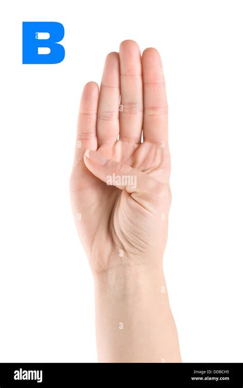 Image result for How to Do B In Sign