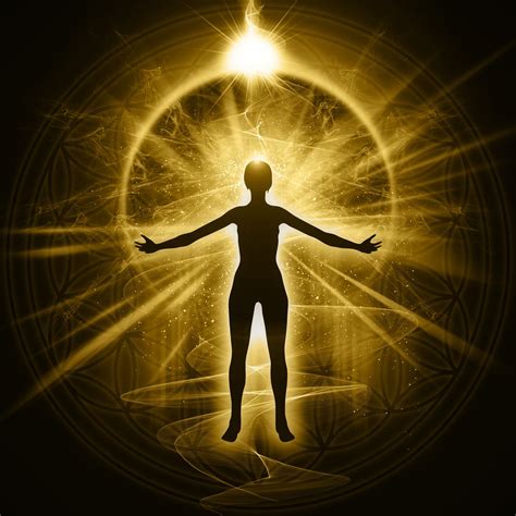 Toradh íomhá ar Human Cycle Diagram