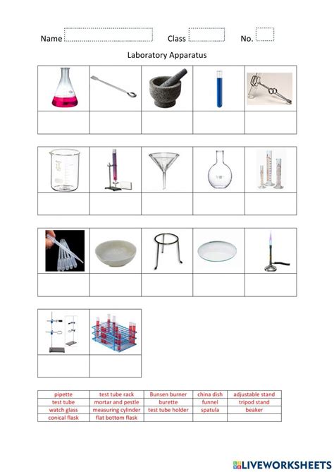 Toradh íomhá ar Tools Learning Worksheet