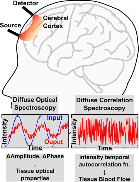 Image result for Diffuse Optical Spectroscopy