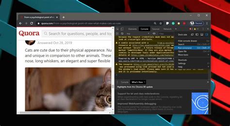 Toradh íomhá ar Disable JavaScript in Chrome