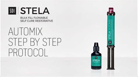 Stela Automix Syringe に対する画像結果