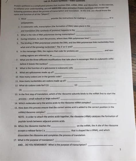 Image result for Protein Making Synthesis Lab Answer Key