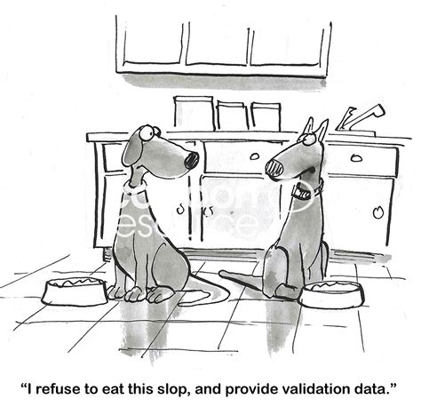 Image result for Test Validation and Implementation Cartoon