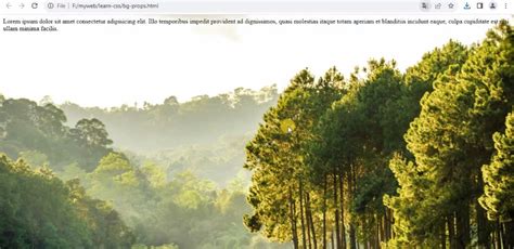 Image result for Page Background HTML/CSS