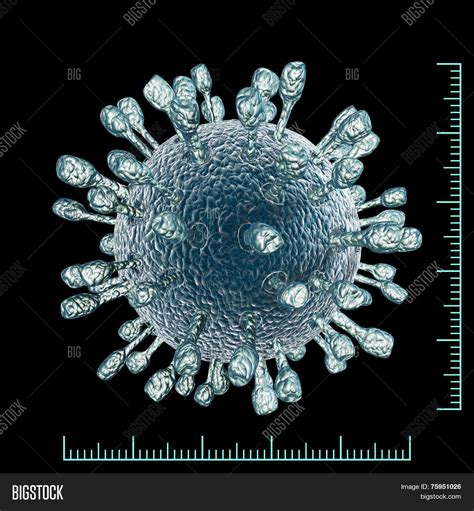 Image result for Virus Microscope