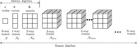 Rotation Tensor Visual に対する画像結果