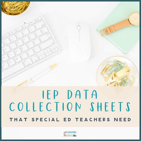 Image result for Iep Data Collection