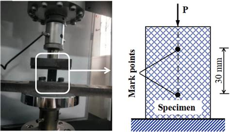 Image result for Compression Test Worksheets