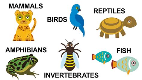 Image result for Types of Animals On Earth