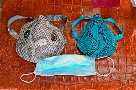 Image result for Python Mouth Mask