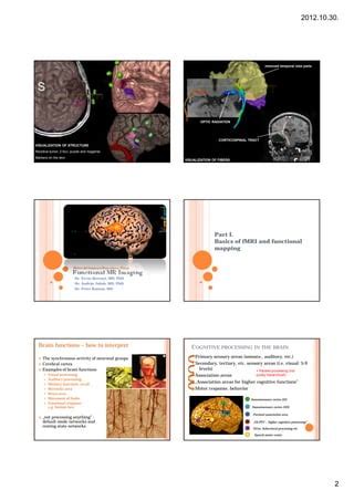 Image result for Frmi Visualisation versus Visual Processing