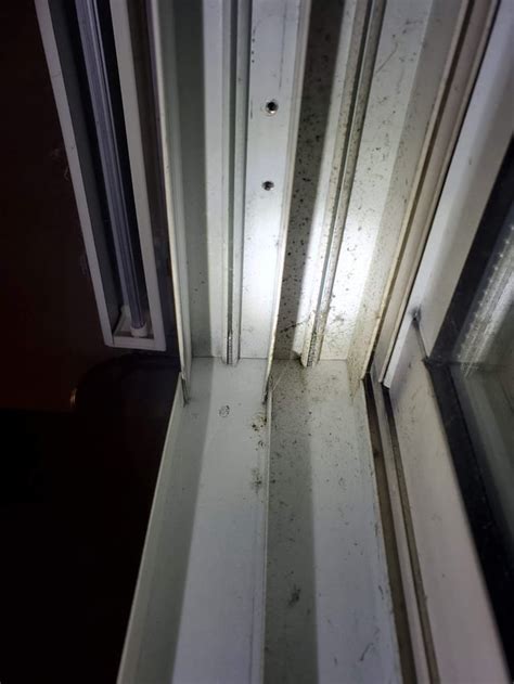 Afbeeldingsresultaten voor Cannot Remove