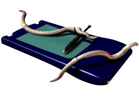 Image result for Computer Networms