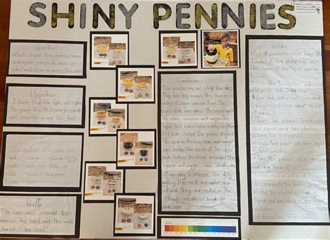 Afbeeldingsresultaten voor Science Fair Project Introduction Example