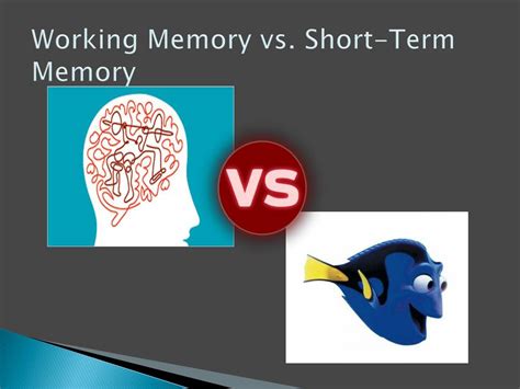 Image result for Short-Term Memory