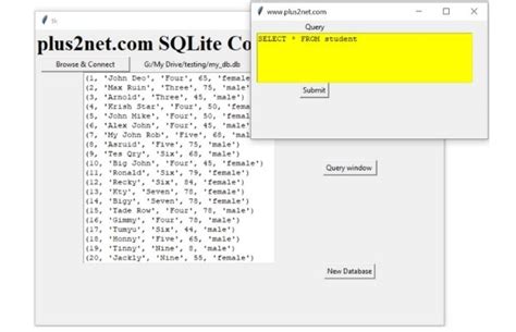 Image result for Run Query SQLite