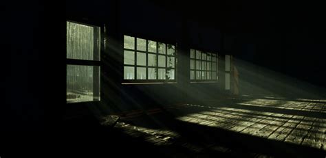 Image result for Horror Forest Map in Unity