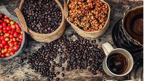 Image result for Java Coffee Beans