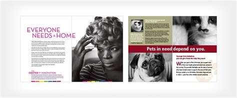 Toradh íomhá ar Case for Support Examples