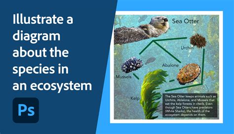 Image result for Classification Line Diagram