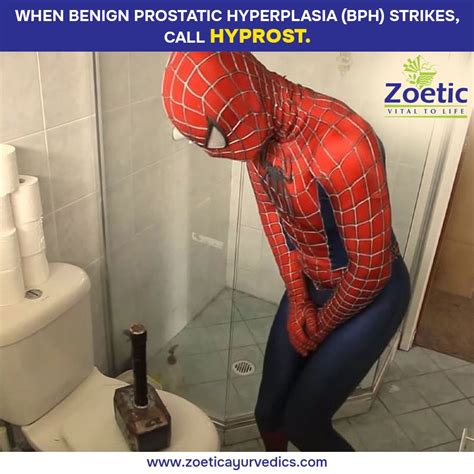 Toradh íomhá ar Hyprost Plus