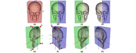 Overfitting Bounding Box에 대한 이미지 결과