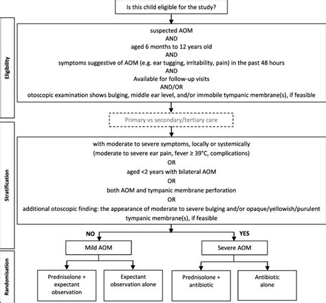 Stratified Randomization Method Flow Chart に対する画像結果